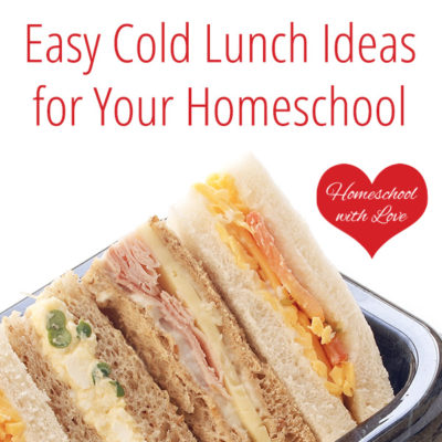 Easy Cold Lunch Ideas for Your Homeschool
