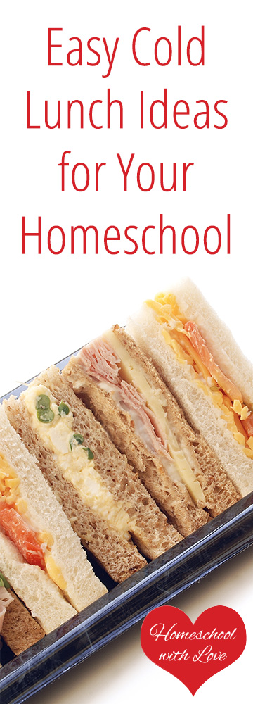 Easy Cold Lunch Ideas for Your Homeschool