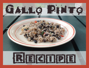 Gallo Pinto Recipe