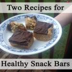 Two Recipes for Healthy Snack Bars
