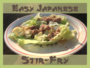 Easy Japanese Stir-Fry