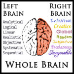 Left-Brain, Right-Brain, Whole-Brain Learning