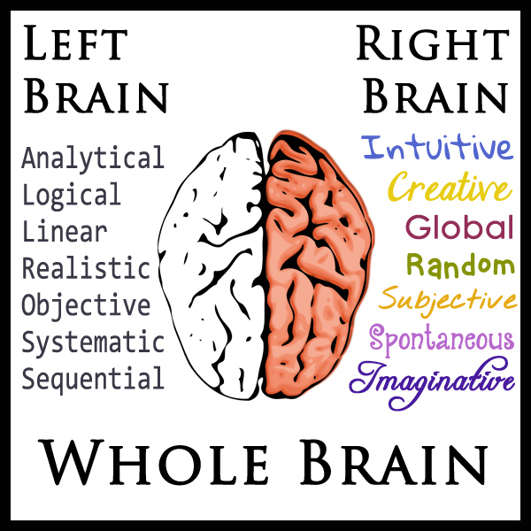 Leave the brain. Left Brain. Left and right Brain. Left Brain vs right Brain. Английский в мозгу стилизованный.
