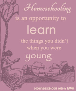 Homeschooling is an opportunity