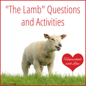 The Lamb Questions and Activities