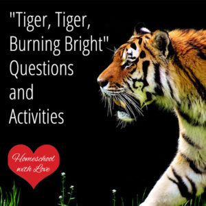 Tiger Tiger Burning Bright Questions and Activities