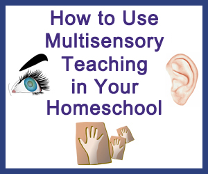 How to Use Multisensory Teaching in Your Homeschool