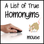 A List of True Homonyms