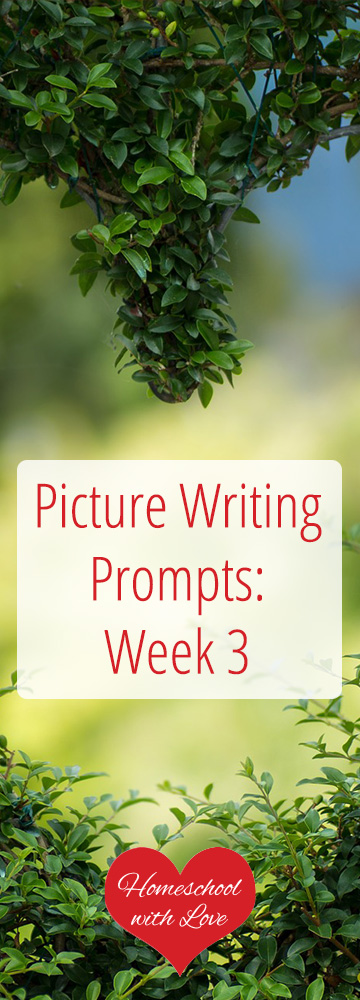 Picture Writing Prompts Week 3