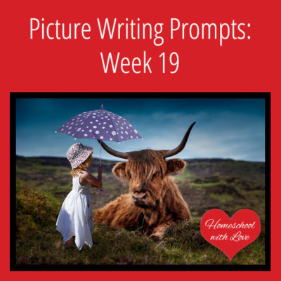 Picture Writing Prompts: Week 19