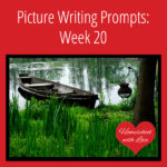 Picture Writing Prompts: Week 20
