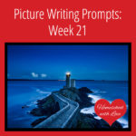 Picture Writing Prompts: Week 21