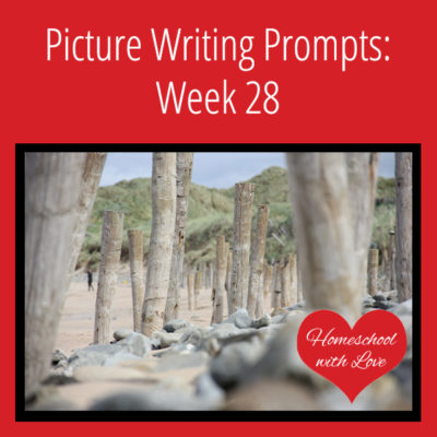 Picture Writing Prompts: Week 28