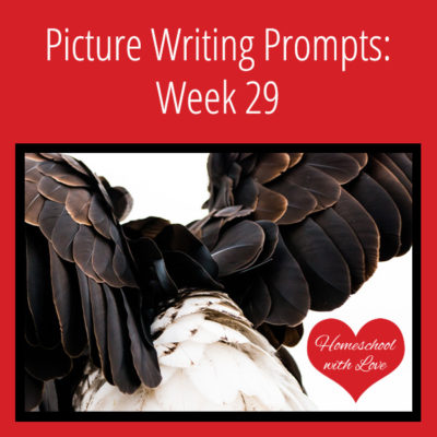 Picture Writing Prompts: Week 29