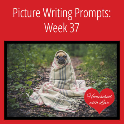 Picture Writing Prompts: Week 37