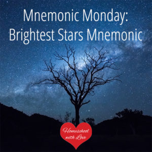 Tree and night sky - Brightest Stars Mnemonic