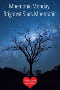 Tree and night sky - Brightest Stars Mnemonic