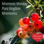 Plant Kingdom Mnemonics