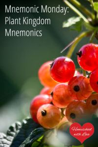Berries - Plant Kingdom Mnemonics