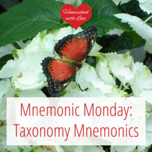 Butterfly on flowers - Taxonomy Mnemonics