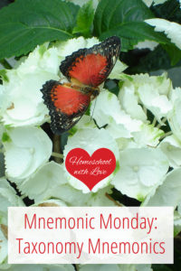 Butterfly on flowers - Taxonomy Mnemonics
