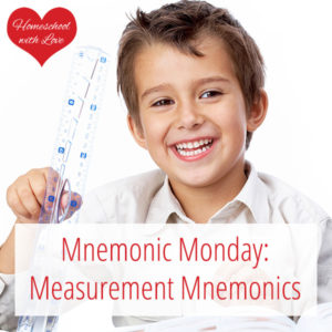 Boy holding ruler - Measurement Mnemonics