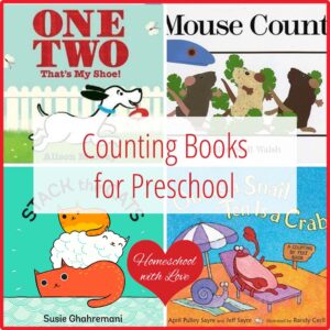 Counting books for preschool